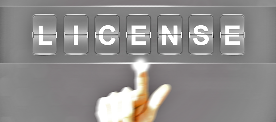 Software Licensing Image